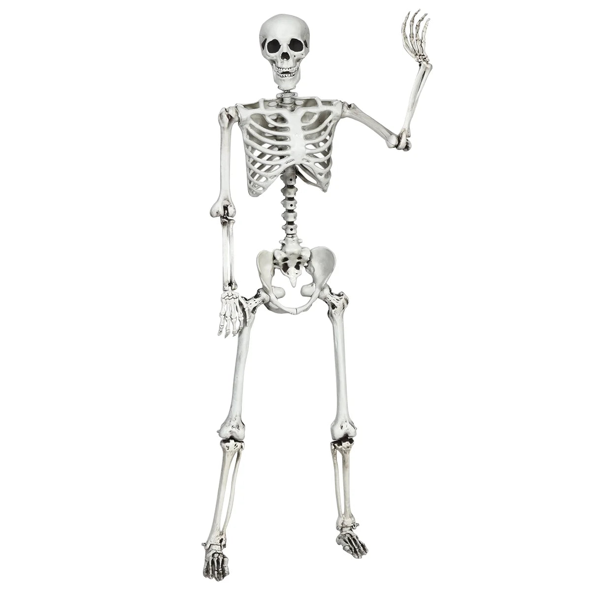 Life-Size Spooky Skeleton with Realistic Joints for a Bone-Chilling Halloween Experience!